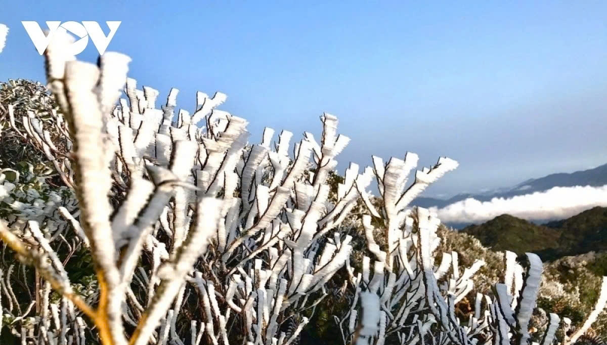 Northern Vietnam may see frost as strong cold air intensifies